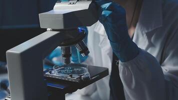 Young scientists conducting research investigations in a medical laboratory, a researcher in the foreground is using a microscope video