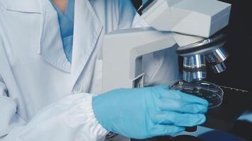 Young scientists conducting research investigations in a medical laboratory, a researcher in the foreground is using a microscope video