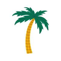 Modern palm tree vector illustration