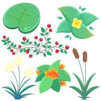 Colored vector set of illustrations with various marsh plants. Water lily, reeds, berries