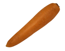 Carrot isolated on transparent background png