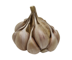 Garlic isolated on transparent background png