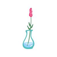 Fresco flor en vaso florero. frágil delicado tallos en agua. cortar floral planta. amable primavera flores, floreció verano flor silvestre ramo de flores aislado vector ilustración