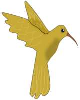 illustration of a yellow bird png