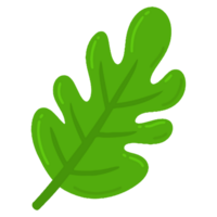 nature leaf illustration png