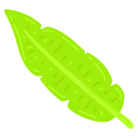 banan blad illustration png