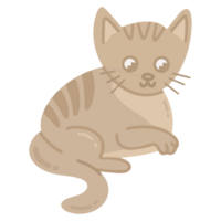 cat animal illustration. kitten pet cartoon png