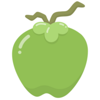 vert noix de coco fruit png