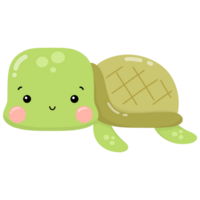 liten grön sköldpadda png