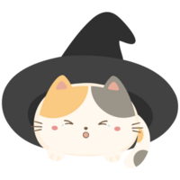 Cute witches cat png