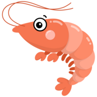 Orange shrimp in the sea png