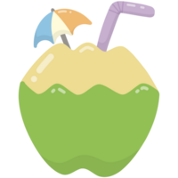 vert noix de coco fruit png