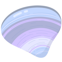 Couleur mer coquille png