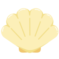 Color sea shell png