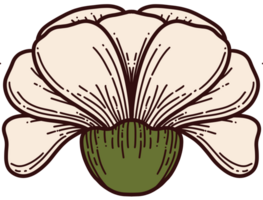 Vintage ▾ fiori telaio e elementi png