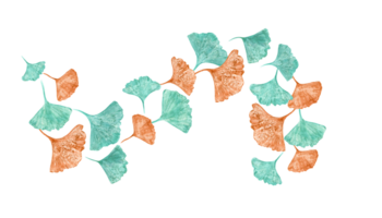 Spiral- Strudel von Blau, golden Blätter. Blatt Abdrücke im Türkis, Gelb Farben. Ginkgo, biloba Blätter. Ginkgo abstrakt Blätter. Aquarell Illustration von bunt Blatt Silhouetten. png