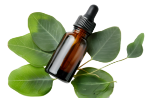 AI generated Essential oil bottle with green leaves PNG