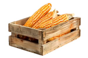 AI generated Cobs of corn in wooden box PNG