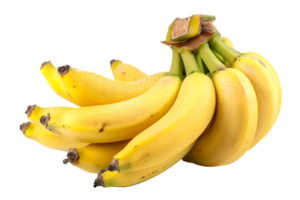 ai generiert Bündel von Bananen isoliert auf transparent Hintergrund png