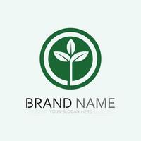 leaf logo design vector for nature symbol template editable,Green leaf logo ecology nature element vector icon.