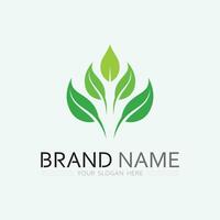 leaf logo design vector for nature symbol template editable,Green leaf logo ecology nature element vector icon.