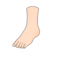 foot body part clipart png