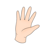 Hand Körper Teil Clip Art png