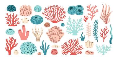 Ocean plants, underwater flora, seaweed, corals, kelp. Aquatic plant, coral, algae, kelp, tropical seabed elements vector set. Vector illustration