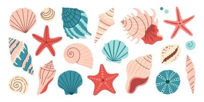 Sea shells set, mollusks, starfish. Trendy flat illustration of seashells collection isolated on white background for stickers, cards, scrapbooking vector