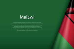 Malawi national flag isolated on background with copyspace vector