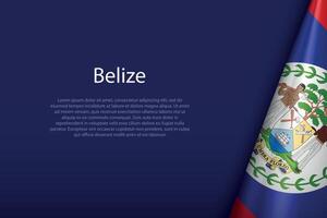 Belize national flag isolated on background with copyspace vector