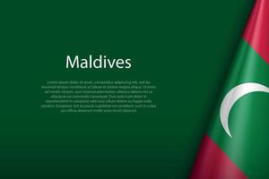 Maldives national flag isolated on background with copyspace vector