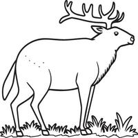 Wild animals coloring pages for coloring book. Wild animal outline vector. vector