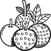 Fruits coloring pages for coloring book. Fruits outline vector