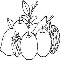 Fruits coloring pages for coloring book. Fruits outline vector