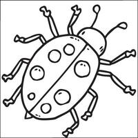 Lady bug coloring pages for coloring book. Bug coloring pages. Lady bug outline vector