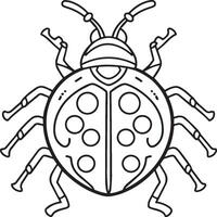 Lady bug coloring pages for coloring book. Bug coloring pages. Lady bug outline vector