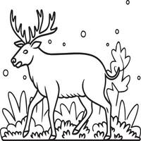 Wild animals coloring pages for coloring book. Wild animal outline vector. vector