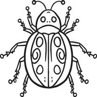 Lady bug coloring pages for coloring book. Bug coloring pages. Lady bug outline vector