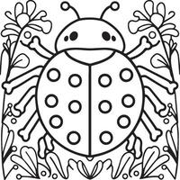 Lady bug coloring pages for coloring book. Bug coloring pages. Lady bug outline vector