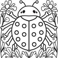 Lady bug coloring pages for coloring book. Bug coloring pages. Lady bug outline vector