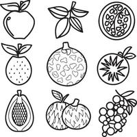 Fruits coloring pages for coloring book. Fruits outline vector