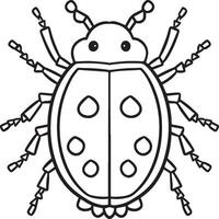 Lady bug coloring pages for coloring book. Bug coloring pages. Lady bug outline vector