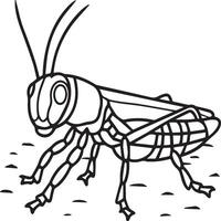 Insects coloring pages for coloring book. Insects outline vector. vector