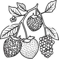 frutas colorante paginas para colorante libro. frutas contorno vector