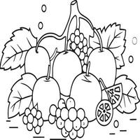 Fruits coloring pages for coloring book. Fruits outline vector