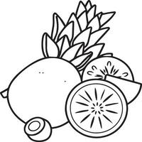 Fruits coloring pages for coloring book. Fruits outline vector