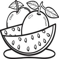 Fruits coloring pages for coloring book. Fruits outline vector