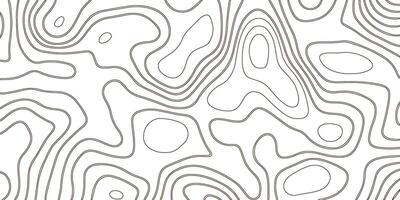 Topographic Lines Background. Abstract Pattern with Circles vector