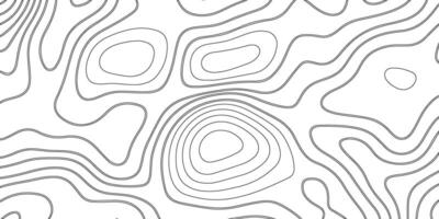 Abstract seamless pattern with lines. Background of the topographic map. vector